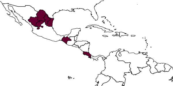 map of Messatoporus tibiator     Kasparyan & Ruíz, 2005